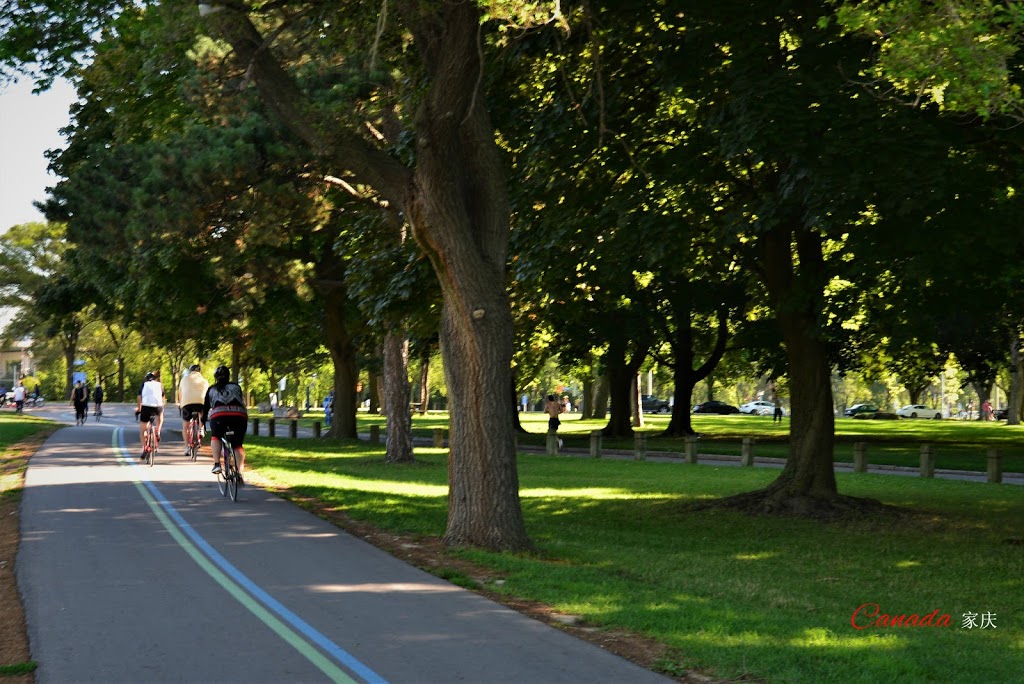 Martin Goodman Trail | Martin Goodman Trail, Toronto, ON M4L 1B8, Canada