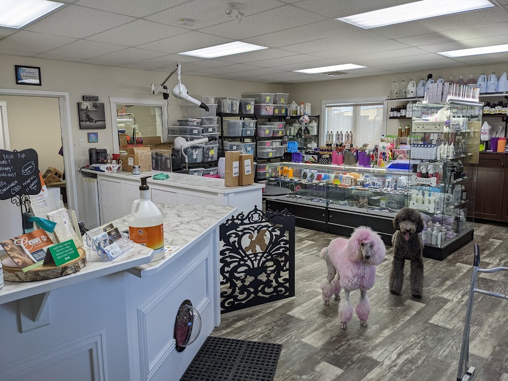 Olds Riverstone Vet | 6312 46 St, Olds, AB T4H 1M6, Canada | Phone: (403) 556-2915