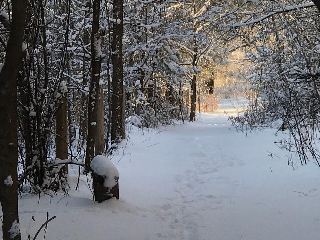 Fells Meadows - Accommodations & Wellness Retreat Centre | 2429 County Rd 25, Castleton, ON K0K 1M0, Canada | Phone: (905) 344-5014