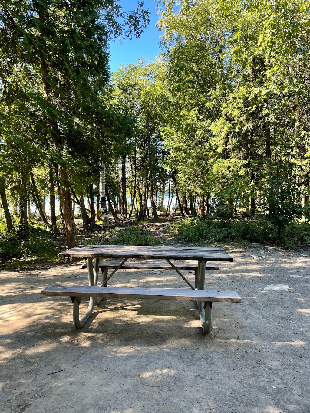 Birches Campsites- Bruce Peninsula National Park | 469 Cyprus Lake Rd, Tobermory, ON N0H 2R0, Canada | Phone: (519) 826-5391