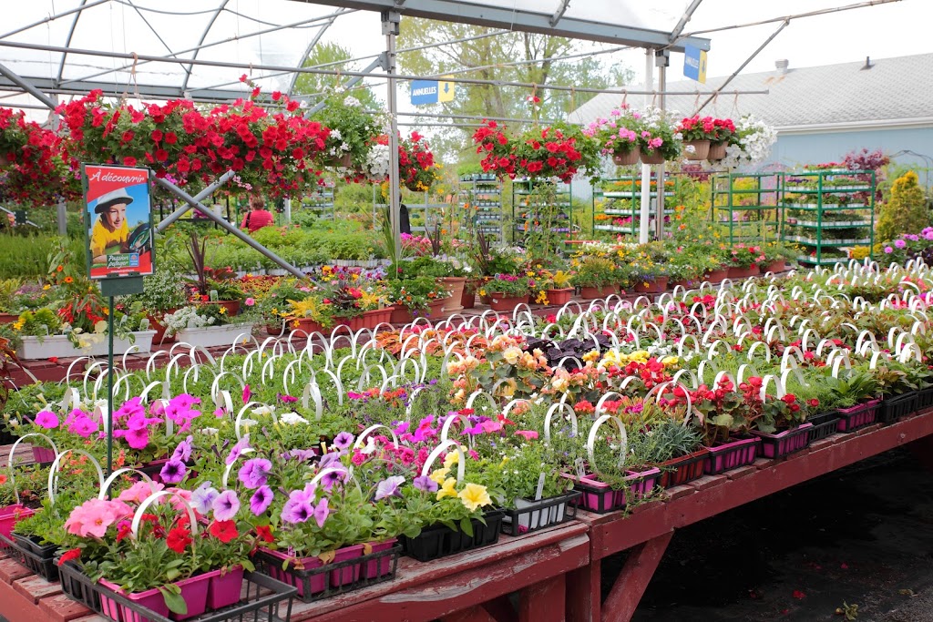 Gauthier Fleurs et Jardins | 4936 Boul Gene-H.-Kruger, Trois-Rivières, QC G9A 4N1, Canada | Phone: (819) 375-4813