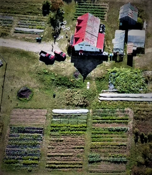 Les jardins cultures pop! | 506 Rang Ste Anne, La Malbaie, QC G5A 2L8, Canada | Phone: (418) 265-4654