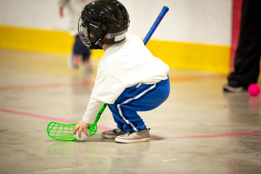 West Hamilton Floorball | 81 Macklin St N N, Hamilton, ON L8S 3R9, Canada | Phone: (905) 521-8750