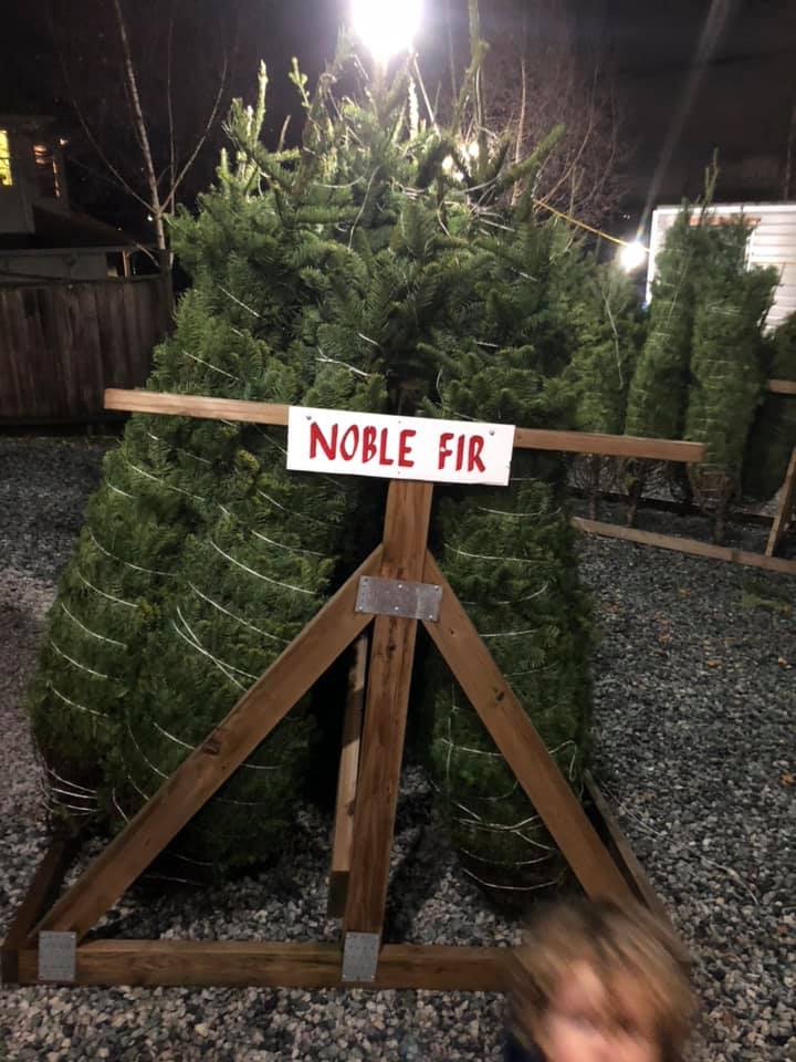 big rig Christmas trees | 3080 Dollarton Hwy, North Vancouver, BC V7H 1B3, Canada | Phone: (604) 499-6991