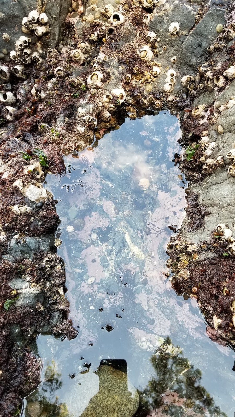 Deception Island State Park | Oak Harbor, WA 98277, USA