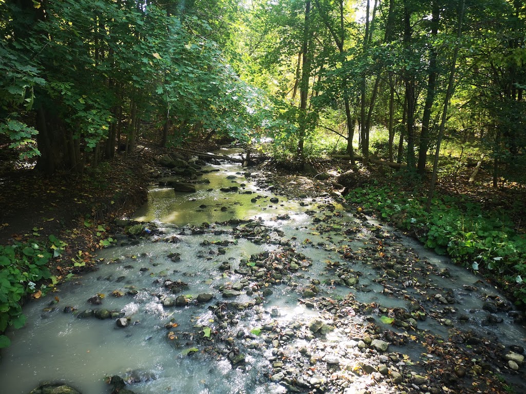 Claude Dubrick Trailway at Kaufman Flats on the Walter Bean Gran | 556 pl, 564 Woolwich Pl, Waterloo, ON N2J 4G8, Canada | Phone: (519) 886-2310