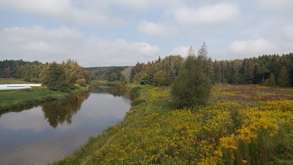 McDowell Tract - Grand River Conservation Authority | Grand Valley, ON L0N 1G0, Canada | Phone: (519) 928-2832