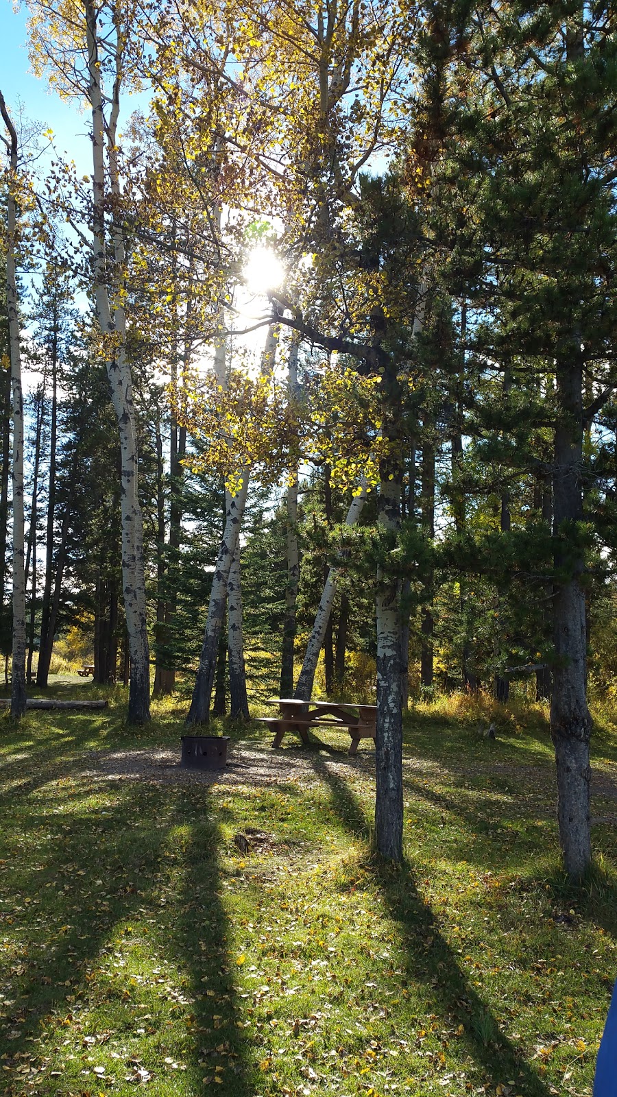 McLean Pond Day Use Area | 285 McLean Creek Trail, Bragg Creek, AB T0L 0K0, Canada