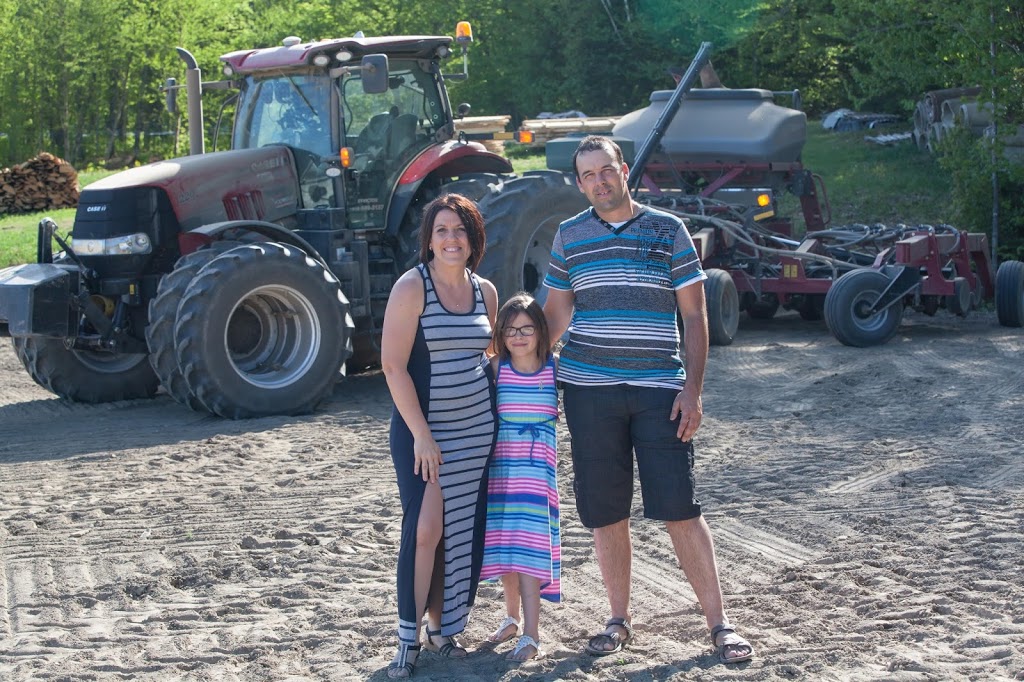 Dany Rodrigue Travaux à forfait | 311 3e Rang S, Saint-Victor, QC G0M 2B0, Canada | Phone: (418) 588-3137