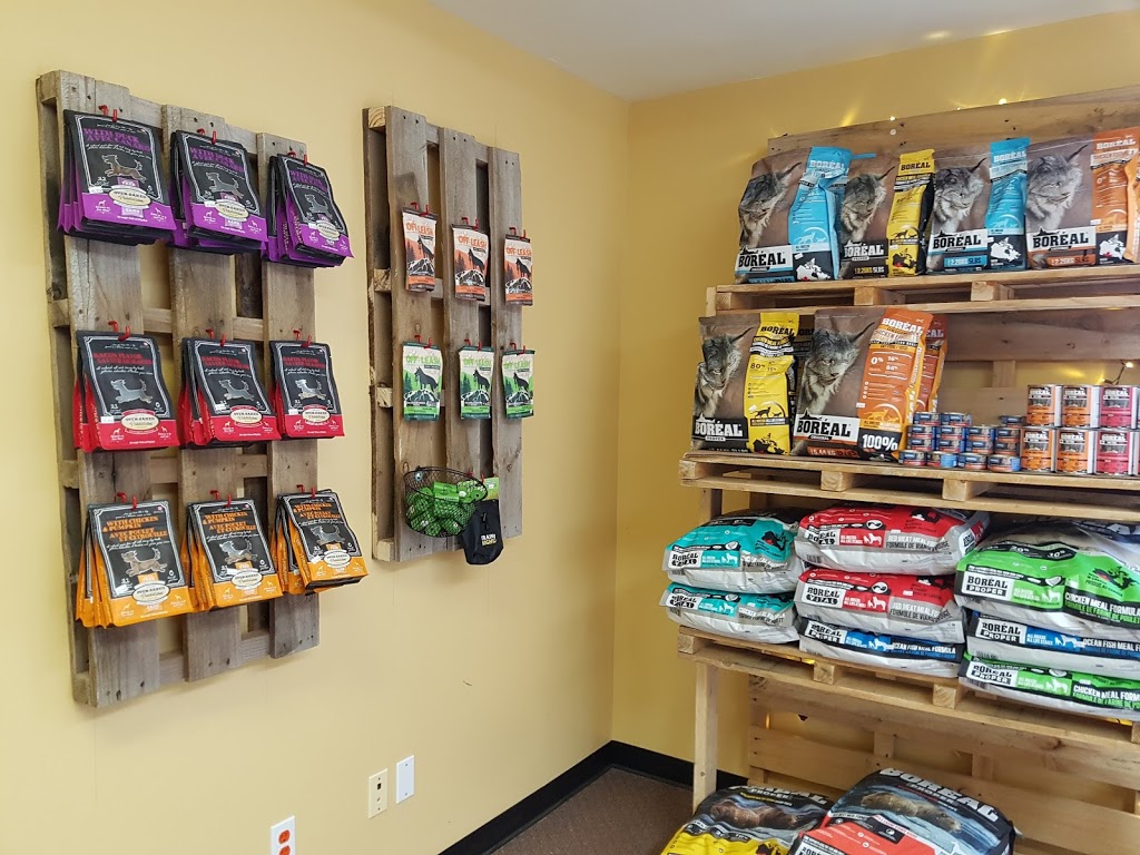 Animalerie Du Village | 528 Rue Frontière, Hemmingford, QC J0L 1H0, Canada | Phone: (450) 636-8813