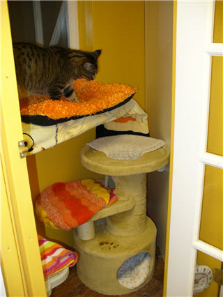 Cats Cradle Boarding Kennel 2006 | 54003 LaSalle Rd #9E, Winnipeg, MB R3H 0Y6, Canada | Phone: (204) 897-6945