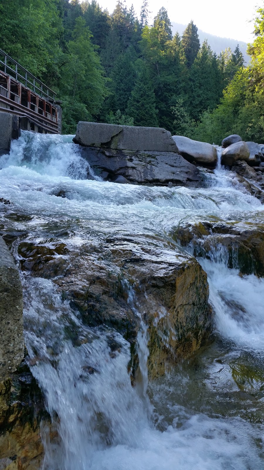 Lynn Canyon Bouldering Field | Lynn Valley Rd, North Vancouver, BC V7K 2T5, Canada