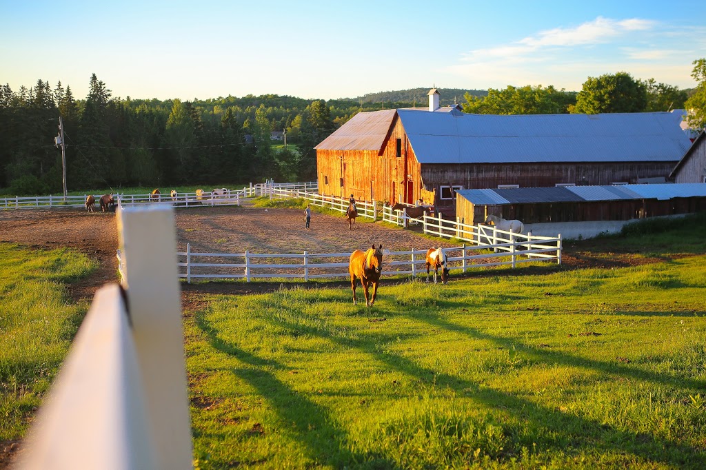 Equita Ranch | 838 Montée de la Source, Cantley, QC J8V 3H4, Canada | Phone: (819) 827-9996