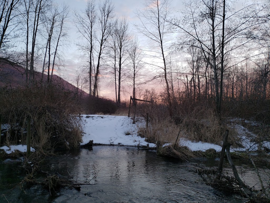 Peach Creek | Peach Creek - Rotary Trail, Chilliwack, BC V2R, Canada