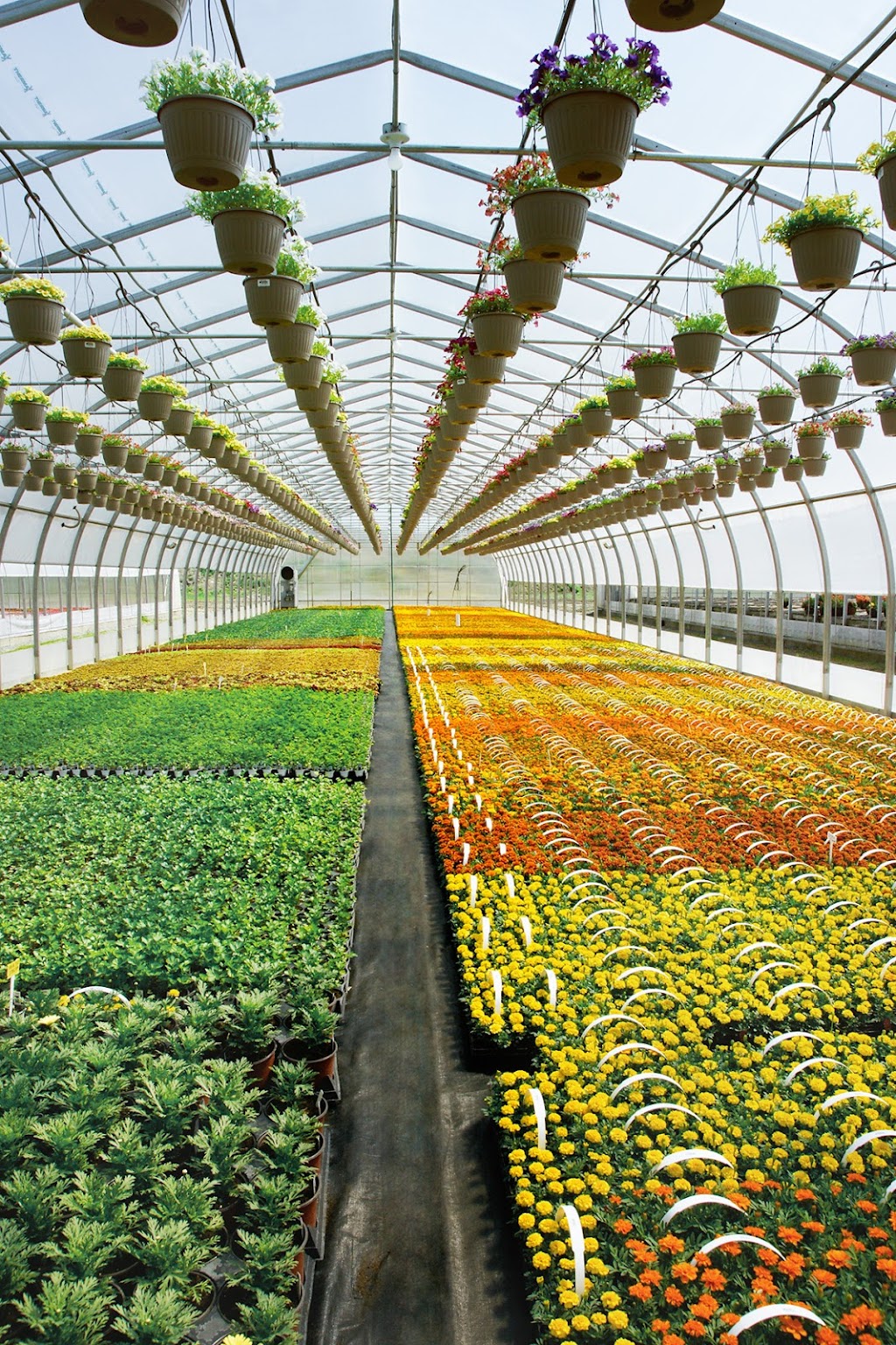 Atlantic Canada Greenhouse Supplies | 3367 NS-316, Saint Andrews, NS B0H 1X0, Canada | Phone: (902) 968-1082