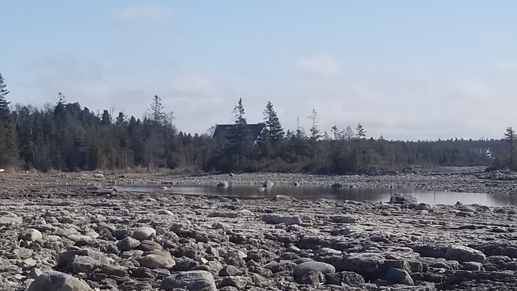 Johnston Harbour - Pine Tree Point Provincial Nature Reserve | Miller Lake, ON N0H 1Z0, Canada | Phone: (519) 389-9056