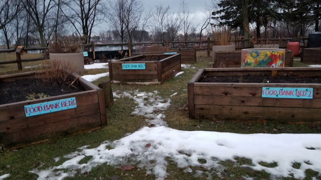 Beach Community Edible Garden | The Beach, Toronto, ON M4L 3W6, Canada