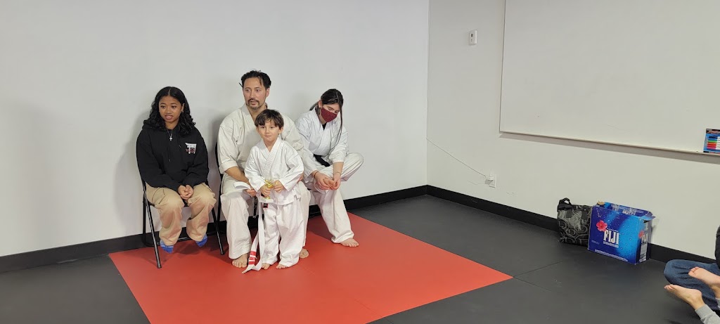 Black Belt Institute | 75 Carl Hall Rd #1001A, Toronto, ON M3K 2B9, Canada | Phone: (647) 952-1495