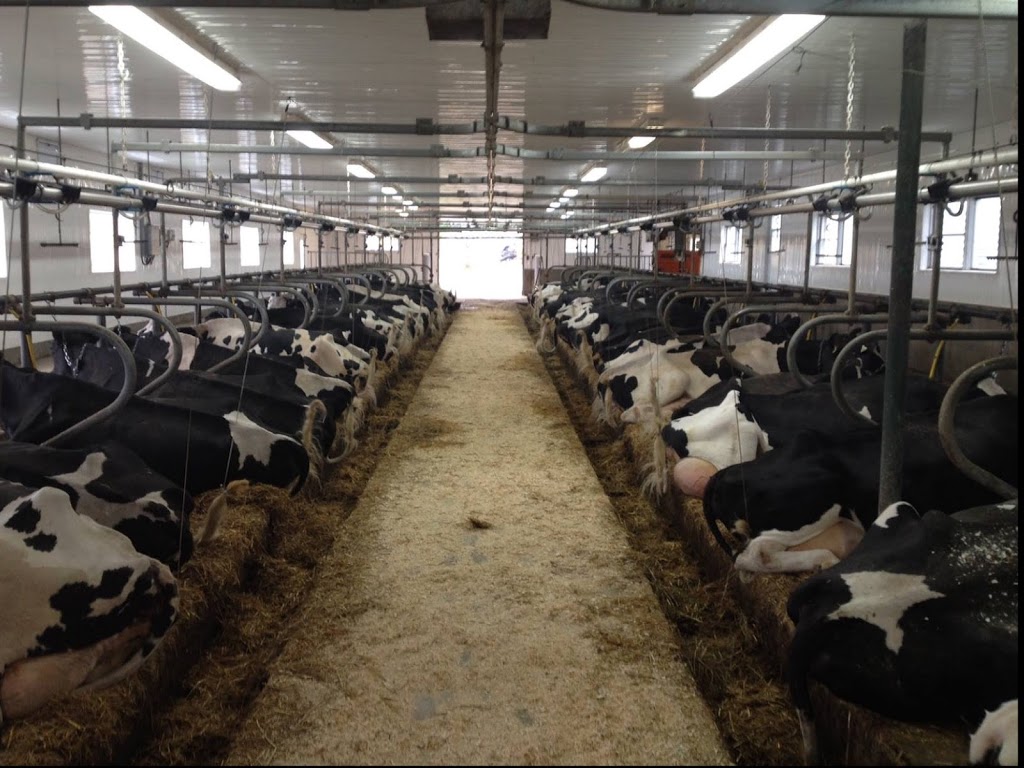 Ferme Ancestrale LaRue INC | 318 Rue des Erables, Neuville, QC G0A 2R0, Canada | Phone: (418) 876-3039