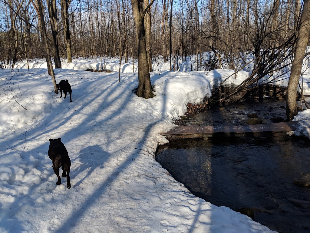 Beaconsfield Dog Park | 521 Av Elm, Beaconsfield, QC H9W 6E4, Canada