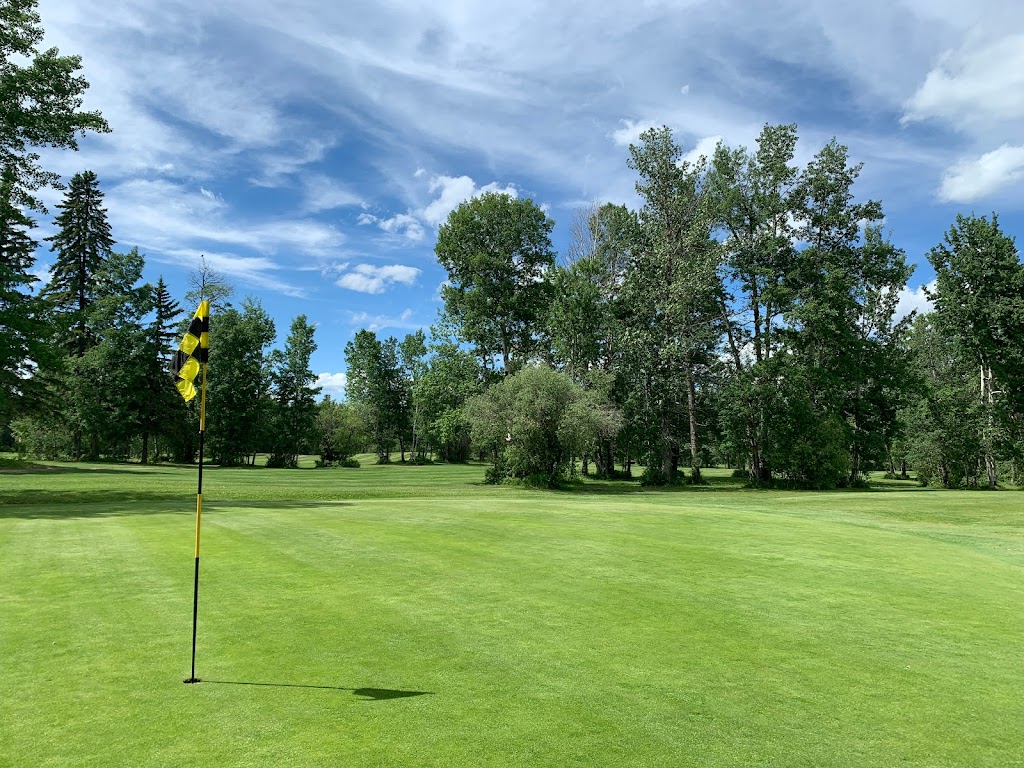 Pigeon Lake Golf Club and RV Park | 5401 Lake Dr, Mulhurst, AB T0C 2C0, Canada | Phone: (780) 312-9142