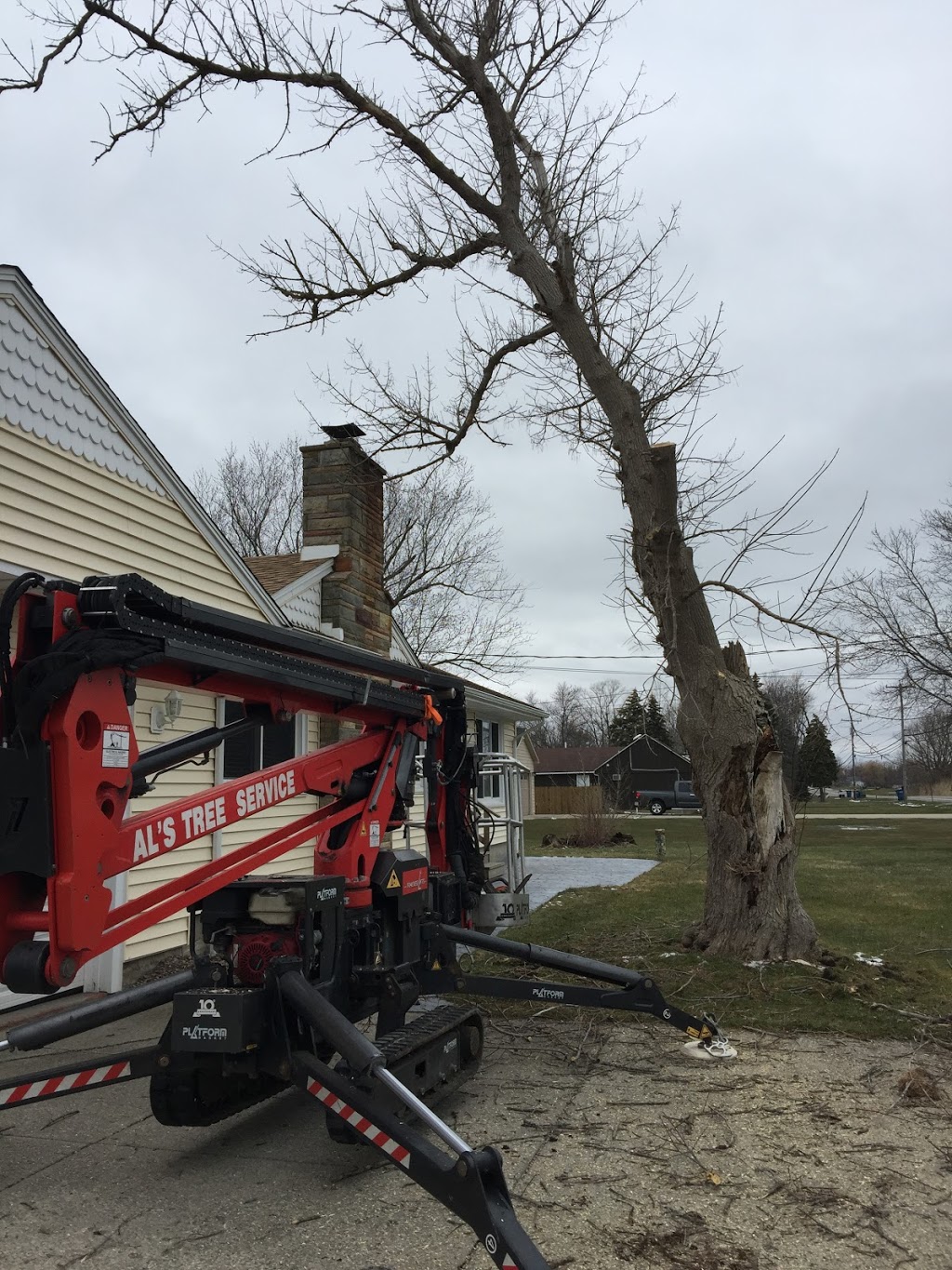 Als Tree Service | 650 Two Mile Creek Rd, Tonawanda, NY 14150, USA | Phone: (716) 692-7041