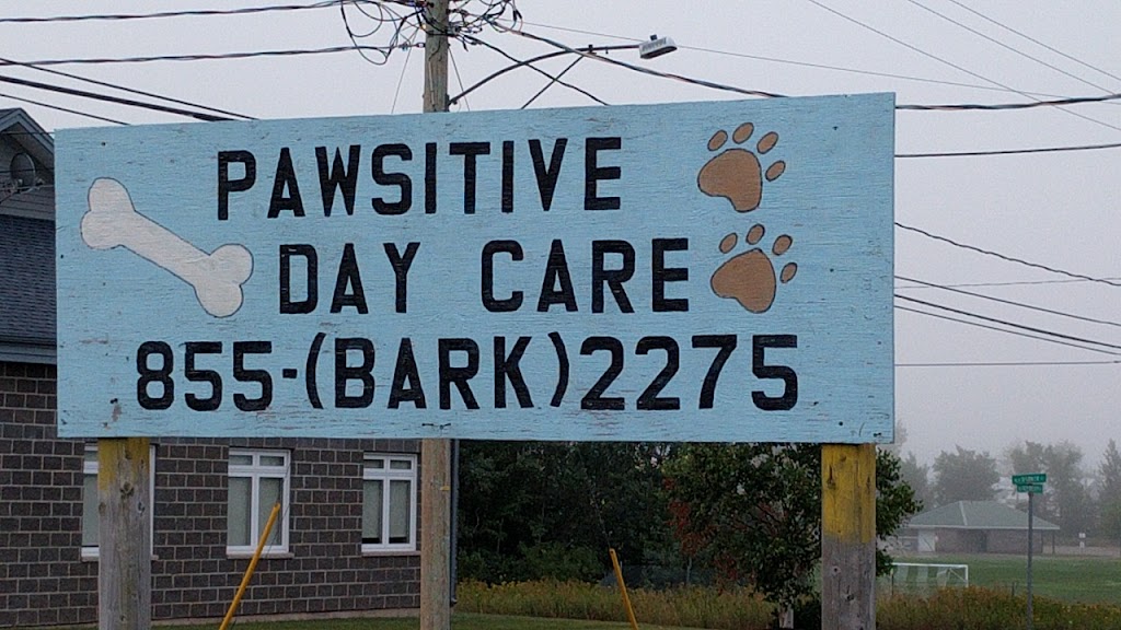 Pawsitive Daycare | 12 Roy Brown St, Moncton, NB E1C 9T4, Canada | Phone: (506) 855-2275