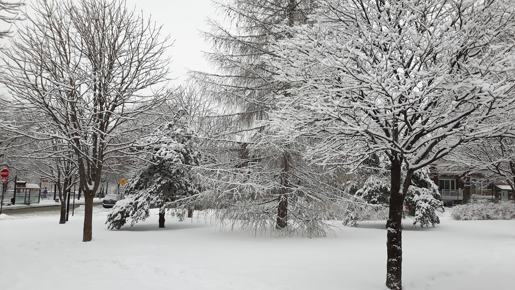 Parc Jean-Valets | Avenue de lÉpée, Montréal, QC H3N 1R4, Canada