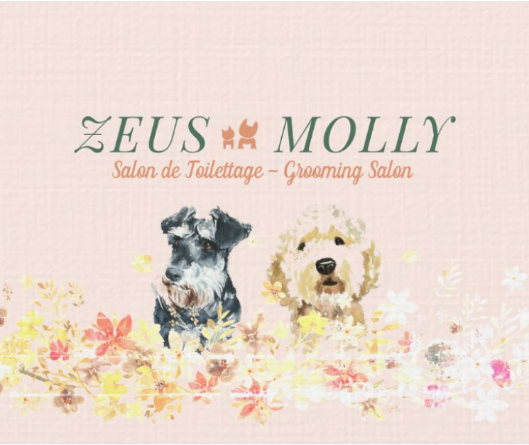 ZEUS & MOLLY - Salon De Toilettage | 429 Bd Salaberry N, Châteauguay, QC J6J 4L3, Canada | Phone: (514) 944-6269