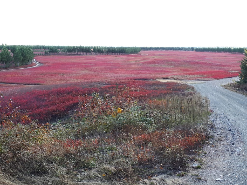 Parc des Grandes Rivières - Ninth Fall - Albanel Sector | Albanel, QC G8M 3J5, Canada | Phone: (418) 276-8222