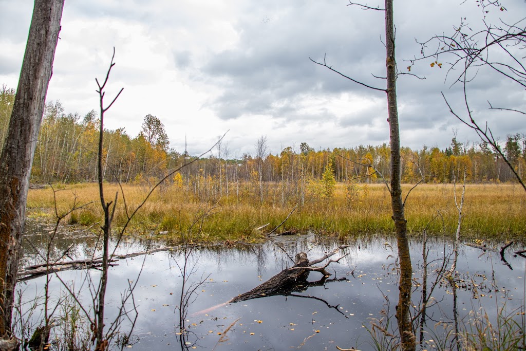 Beaver Pond Trailhead # 7 | Improvement District No. 13, AB T8L 4B6, Canada | Phone: (780) 922-5790