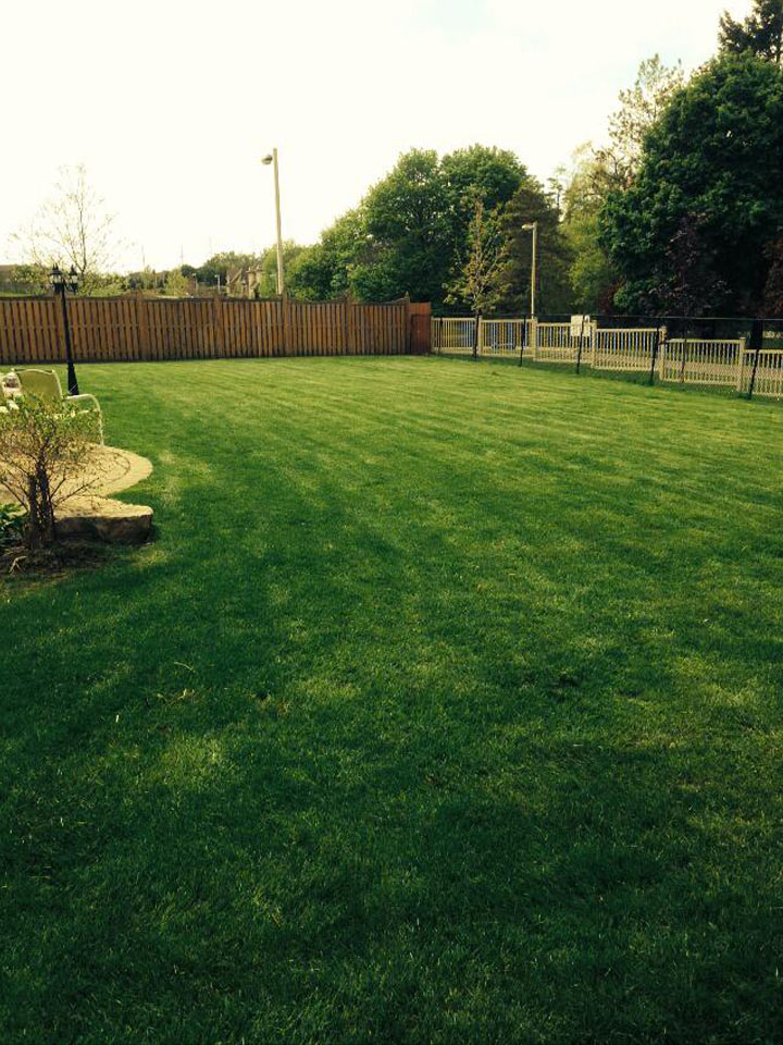 JHC Landscaping Inc | 79 Sequin Dr, Richmond Hill, ON L4E 0M4, Canada | Phone: (416) 779-6655