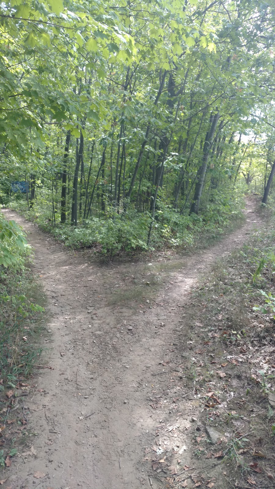 UTM Nature Trail | Mississauga, ON L5L 1J7, Canada