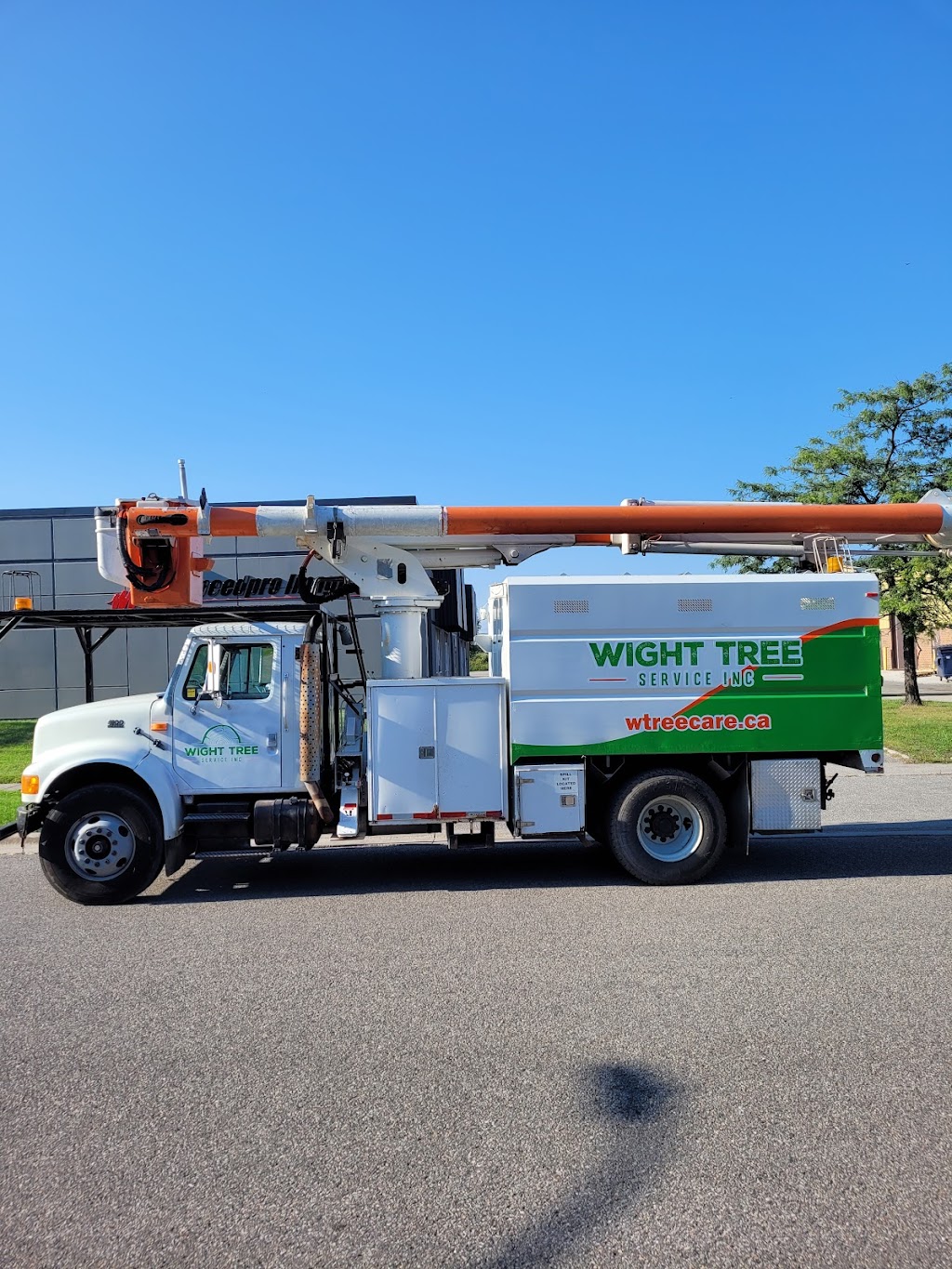 Wight Tree Service Inc | 52 Bethel Sideroad, Keswick, ON L0E 1R0, Canada | Phone: (289) 231-9274