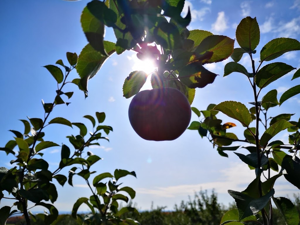 Ferme Laval Gagnon inc | 2208 Chem. Royal, Sainte-Famille, QC G0A 3P0, Canada | Phone: (418) 829-2495