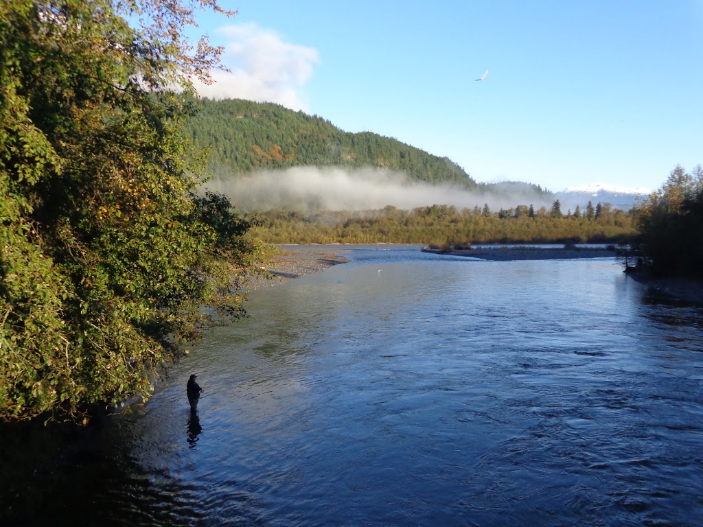 Mamquam River Trailhead | Government Rd, Squamish, BC V0N 1H0, Canada