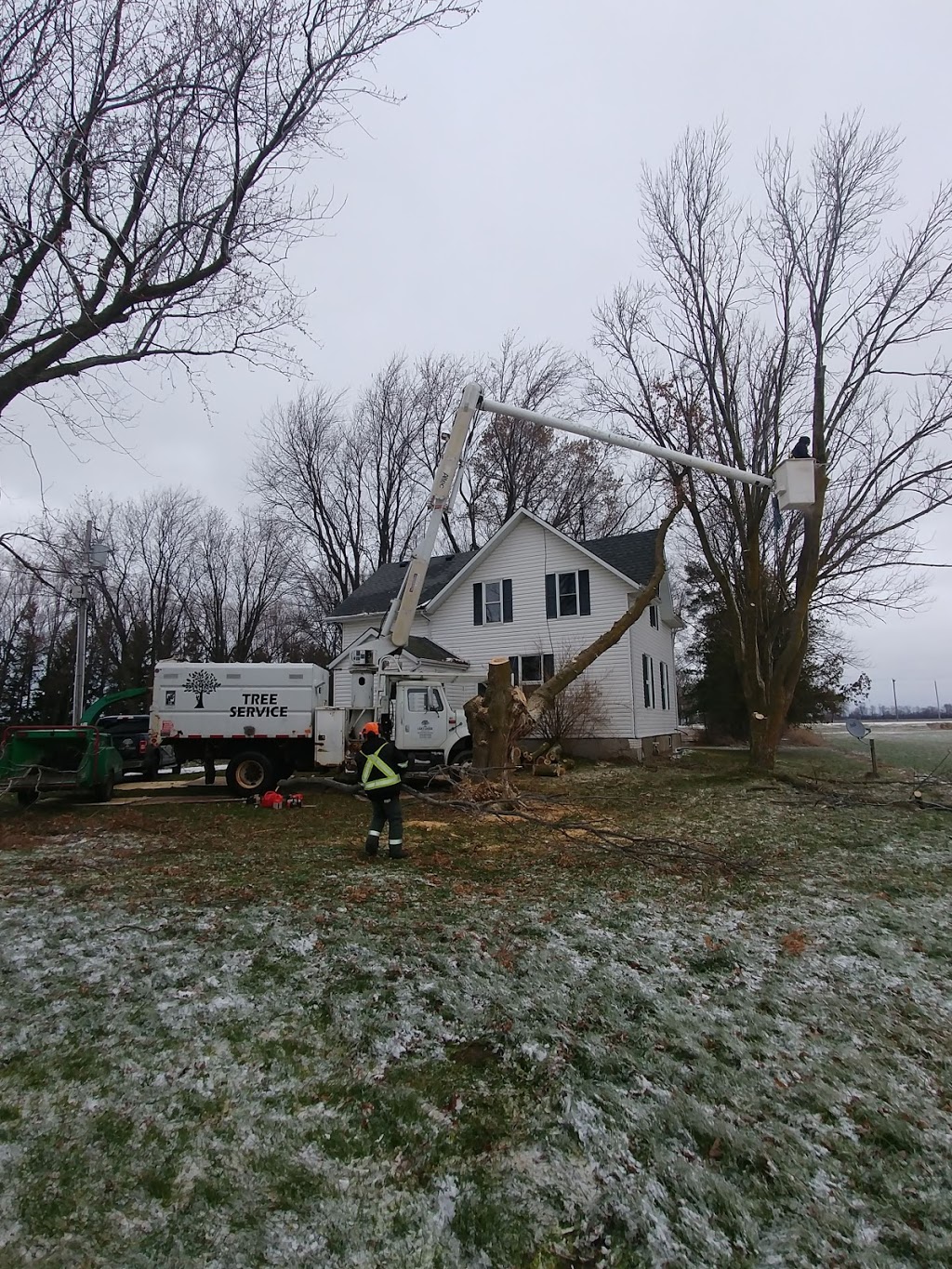 Lakeshore Tree Service | 191 Scotts Point Rd, Tiverton, ON N0G 2T0, Canada | Phone: (519) 368-7893