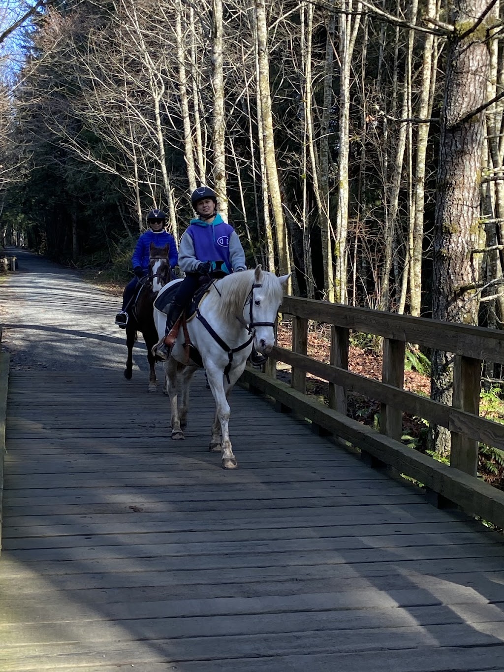 Giddy-Up Equestrian | 5480 Sooke Rd, Sooke, BC V9Z 0C7, Canada | Phone: (236) 882-2023