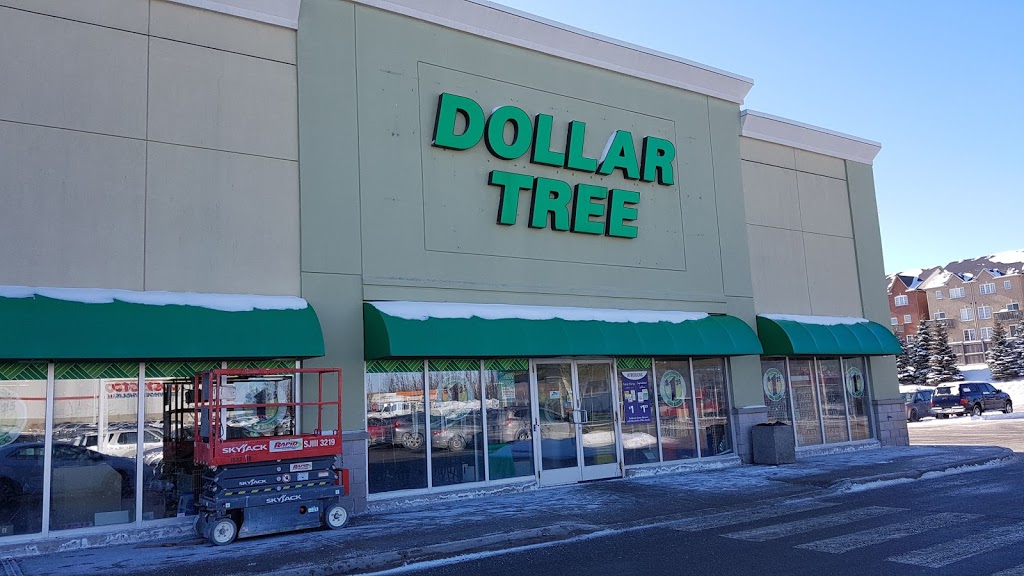 Dollar Tree | 18126 Yonge St Unit #5, East Gwillimbury, ON L9N 0J3, Canada | Phone: (905) 836-0602