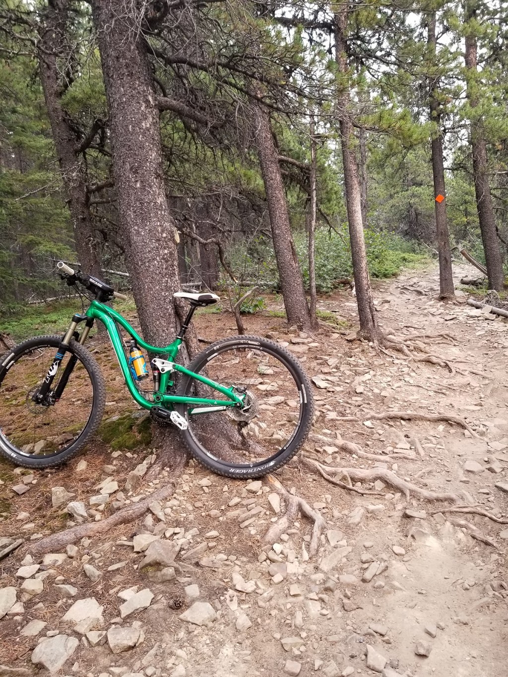 Baruchs Corner | Ranger Summit, Bragg Creek, AB T0L 0K0, Canada