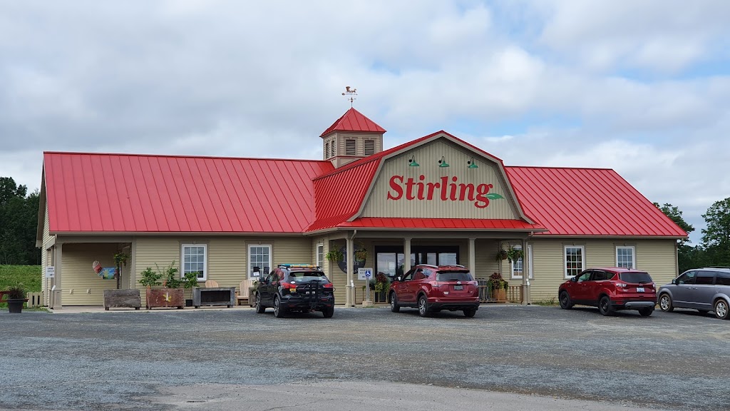 Stirlings Farm Market (Greenwich) | 10328 Evangeline Trail, Wolfville, NS B4P 2R2, Canada | Phone: (902) 542-2789