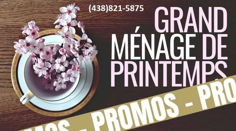 Menage tout | 7 Rue Deslauriers, Sainte-Agathe-des-Monts, QC J8C 3N7, Canada | Phone: (438) 821-5875