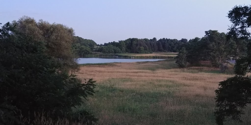 Tyneside Trail -Stargazing | Tyneside Trail, Mount Hope, ON L0R 1W0, Canada