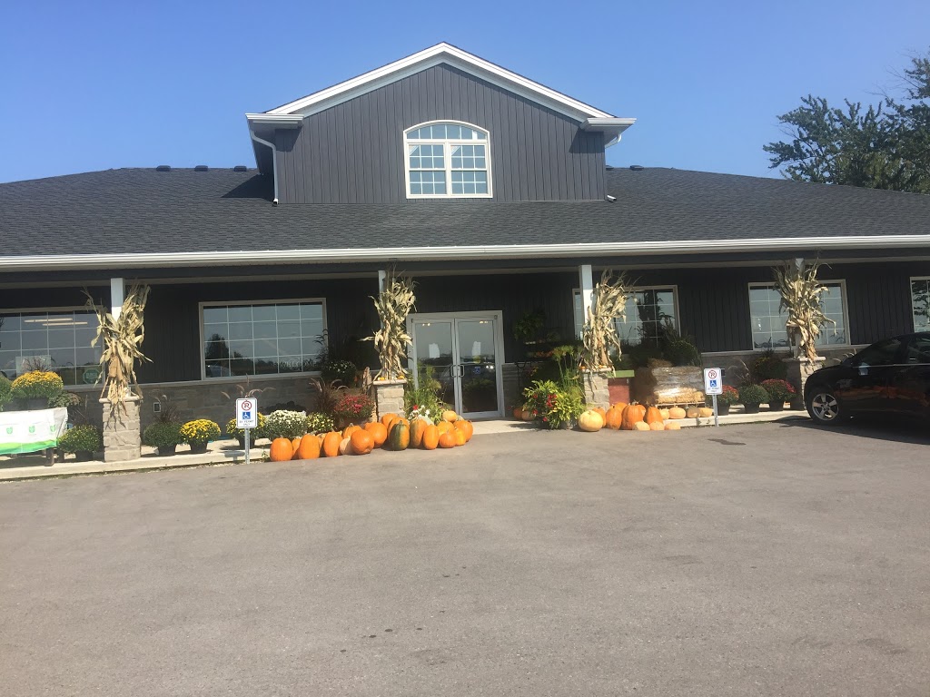 Talbotville Berry Farm | 11096 Sunset Dr, St Thomas, ON N5P 3T2, Canada | Phone: (519) 615-1164