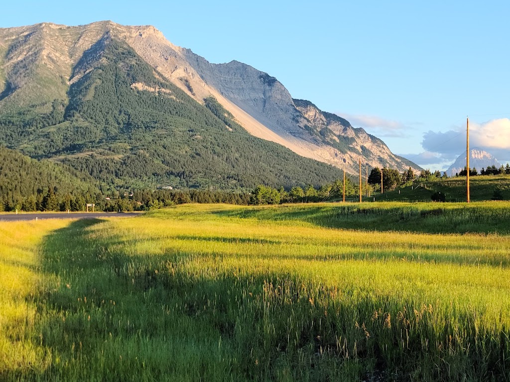 Crowsnest Pass Campground | 23751 Passburg Dr, Bellevue, AB T0K 0C0, Canada | Phone: (403) 564-4814