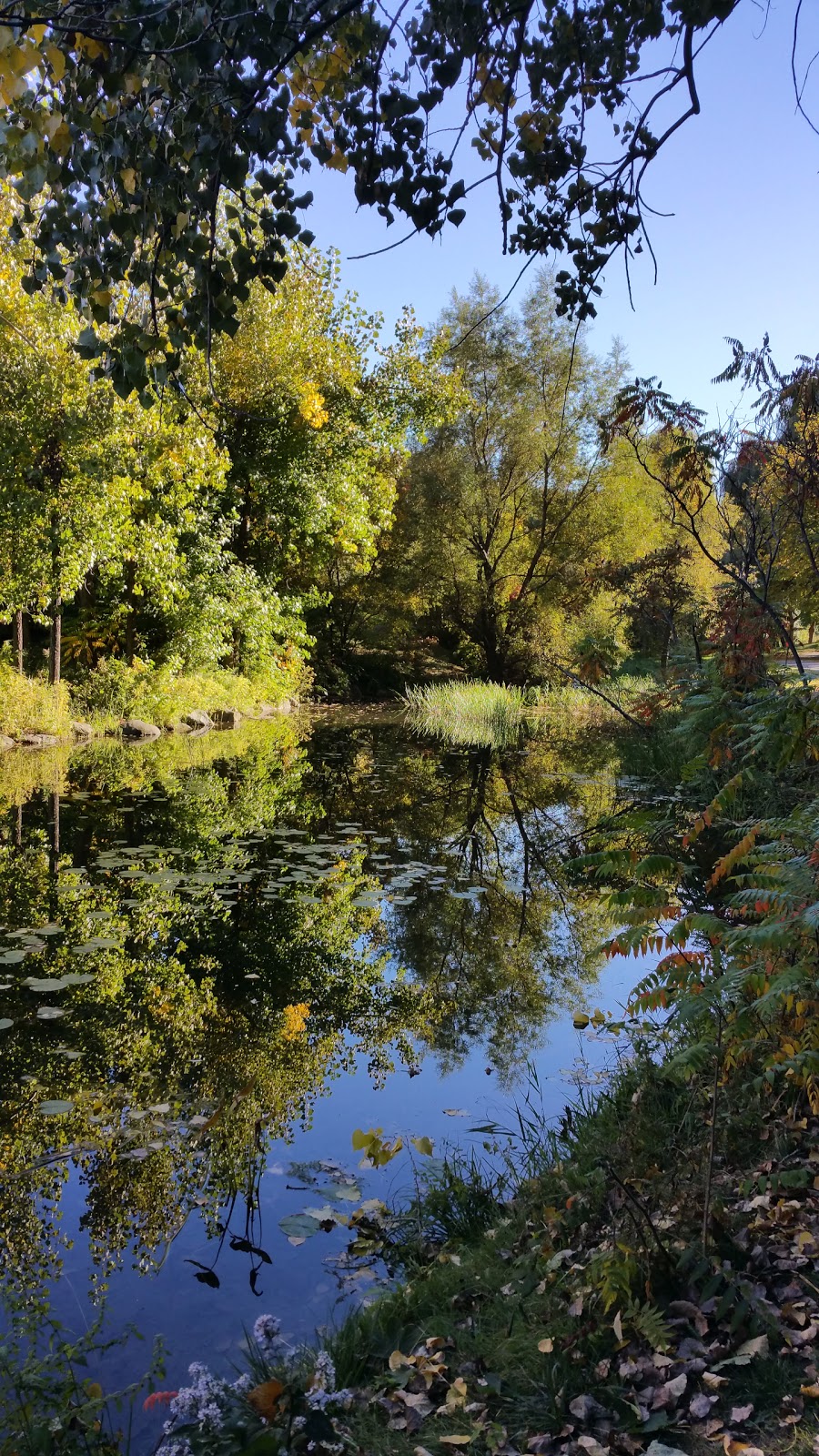 Lacoursière Park | 700 Chemin Marie le Ber, Verdun, QC H3E 1P2, Canada