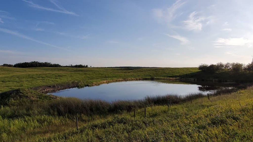 Buffalo Lake Provincial Recreation Area | Township Rd 411A, Rochon Sands, AB T0C 3B0, Canada | Phone: (403) 741-2246