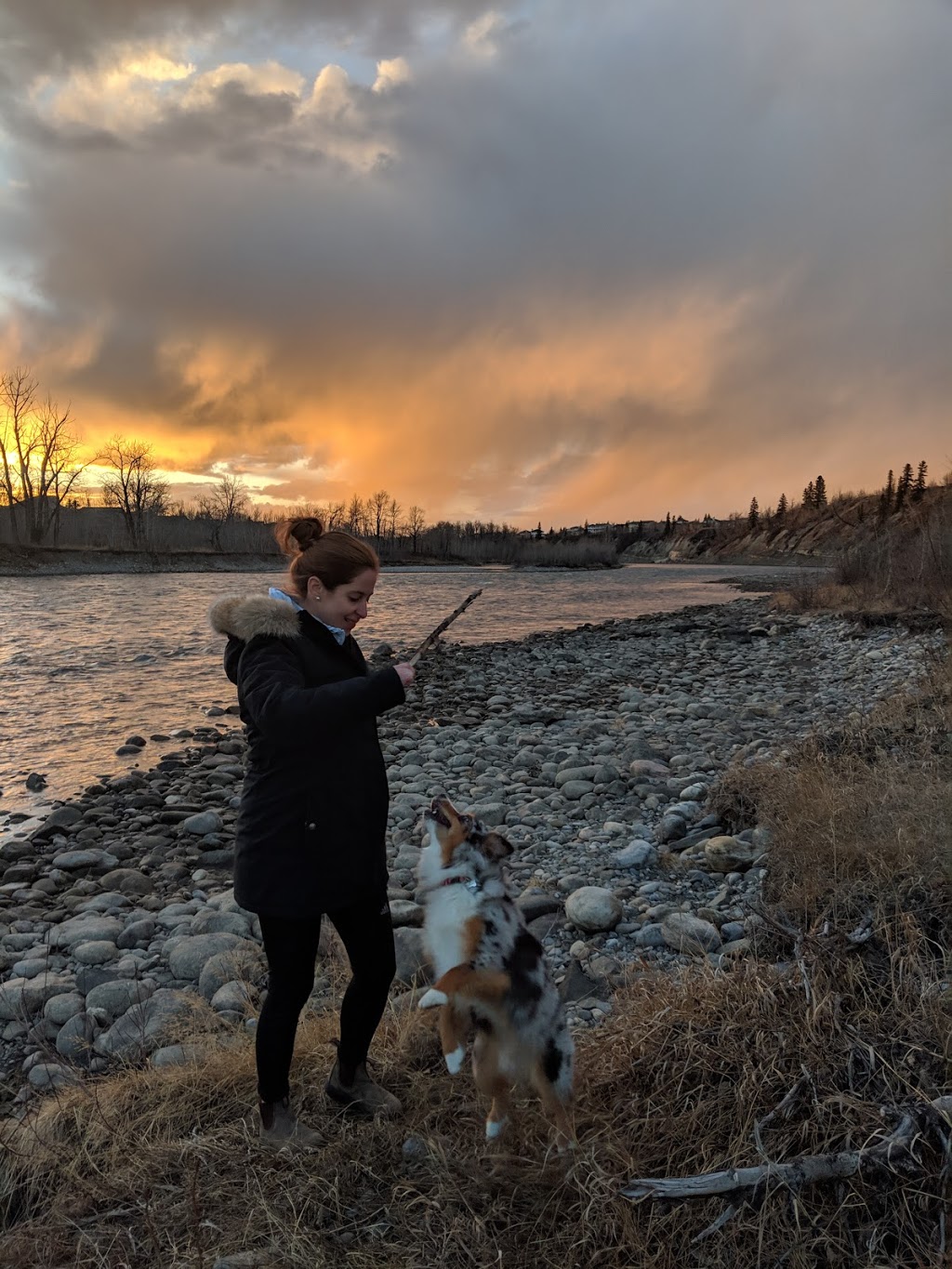 Off-leash park | Cochrane, AB T4C 1M1, Canada