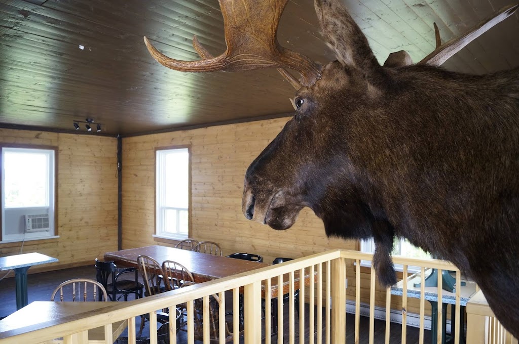 Le Coureur des Bois - Microbrasserie (Bistro-bar)) | 1551 Bd Wallberg, Dolbeau-Mistassini, QC G8L 1H5, Canada | Phone: (418) 979-1197