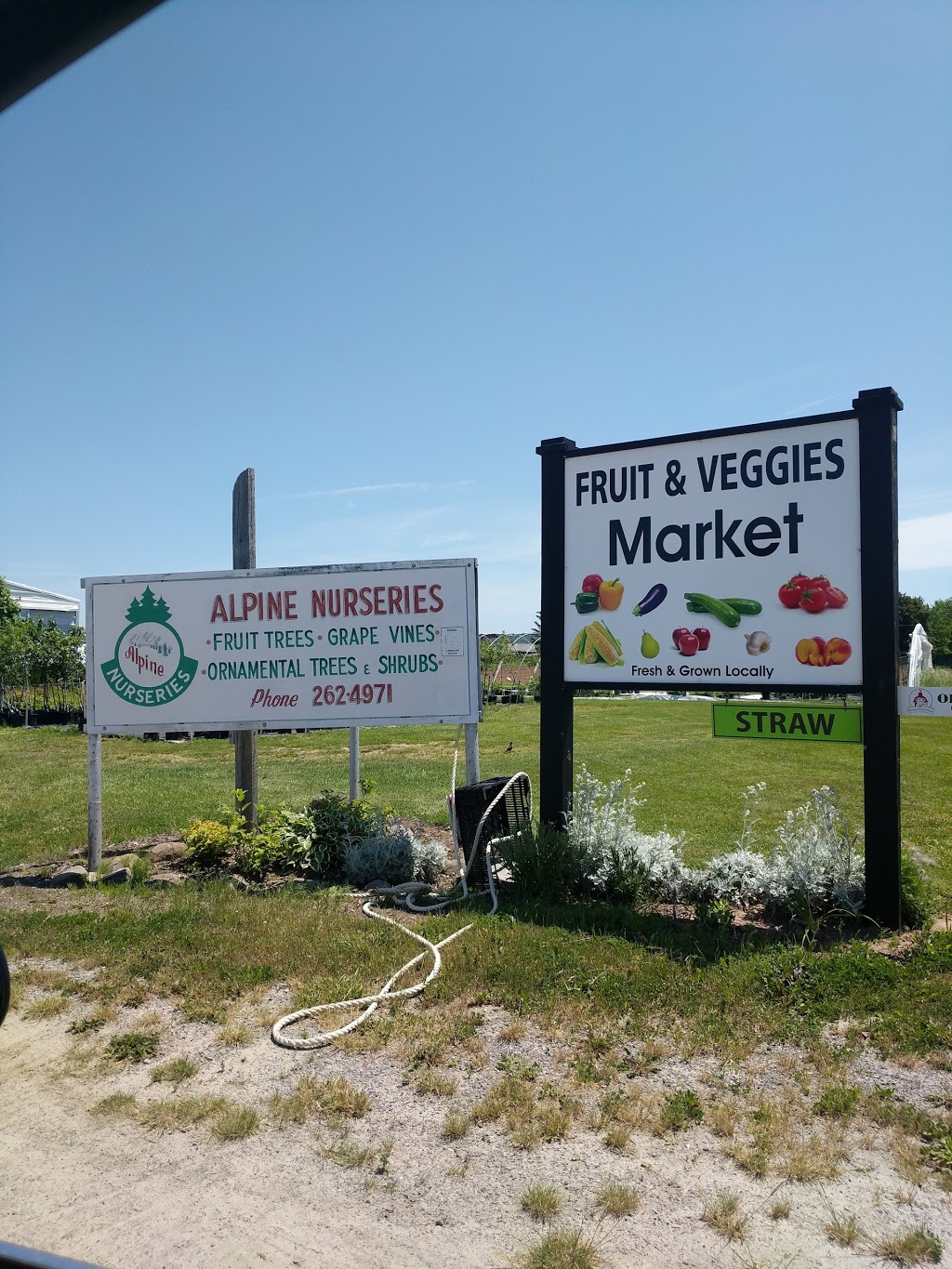 Alpine Nurseries Niagara Ltd | 845 Four Mile Creek Rd, Niagara-on-the-Lake, ON L0S 1J0, Canada | Phone: (905) 262-4971